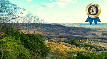 Pesquisa na Chapada do Araripe amplia conhecimento da diversidade no NE