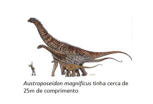 Pesquisador do CNPq compõe equipe que descobre o maior dinossauro do Brasil