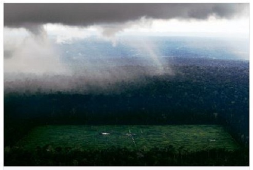 O efeito do desmatamento nas chuvas na Floresta Amazônica