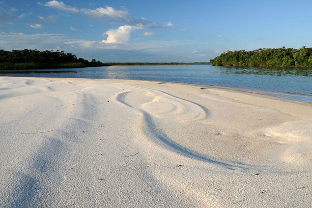 ilha