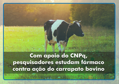Pesquisa tenta eliminar ação nociva do carrapato