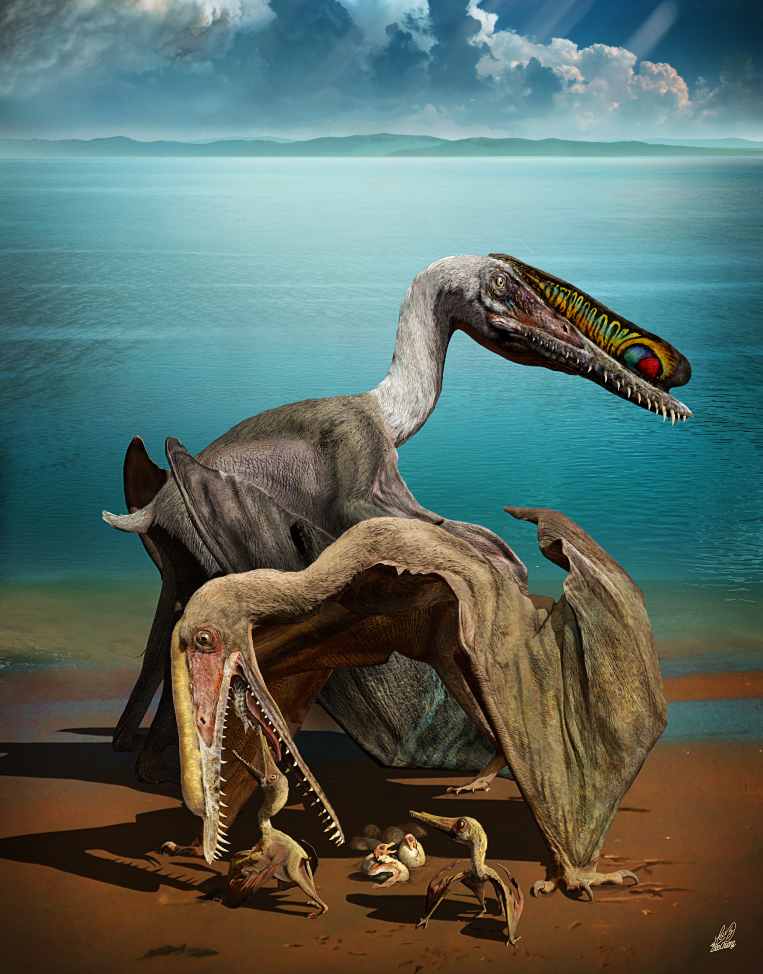 Arte reconstituição