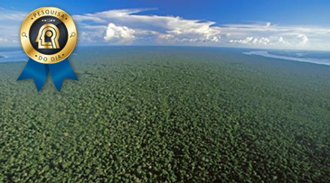 Estudo revela que poluição de Manaus inibe a fotossíntese e reduz as chuvas