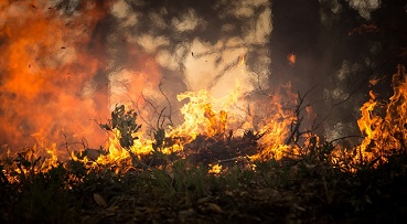 Pesquisa para combate a incêndios florestais