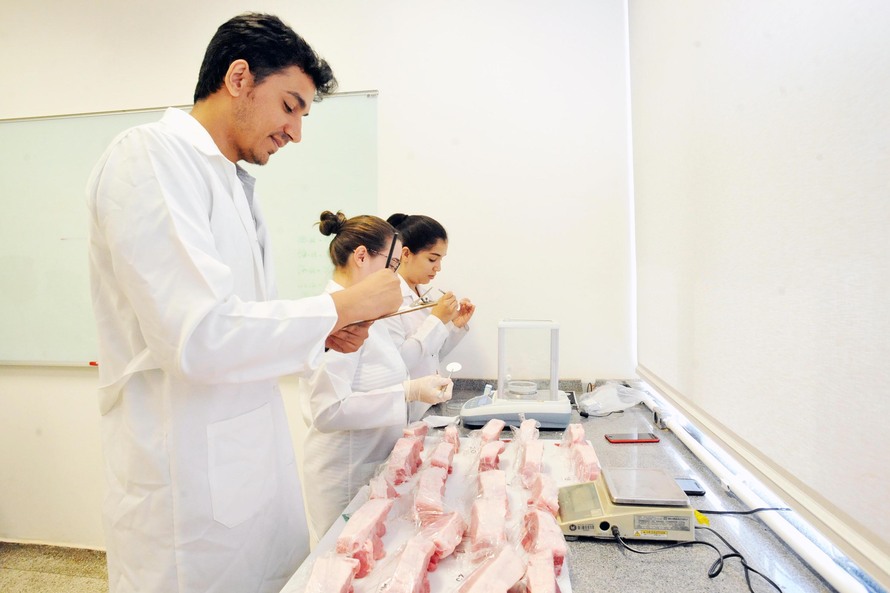 UEL desenvolve técnica rápida para identificar fraudes