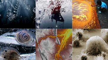 Conheça os vencedores do IX Prêmio de Fotografia - Ciência & Arte